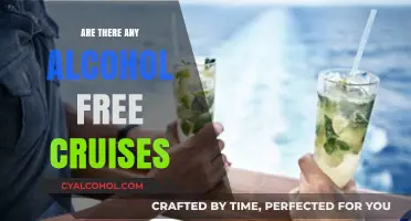 Sober Sailing: Exploring Alcohol-Free Cruise Options for Travelers