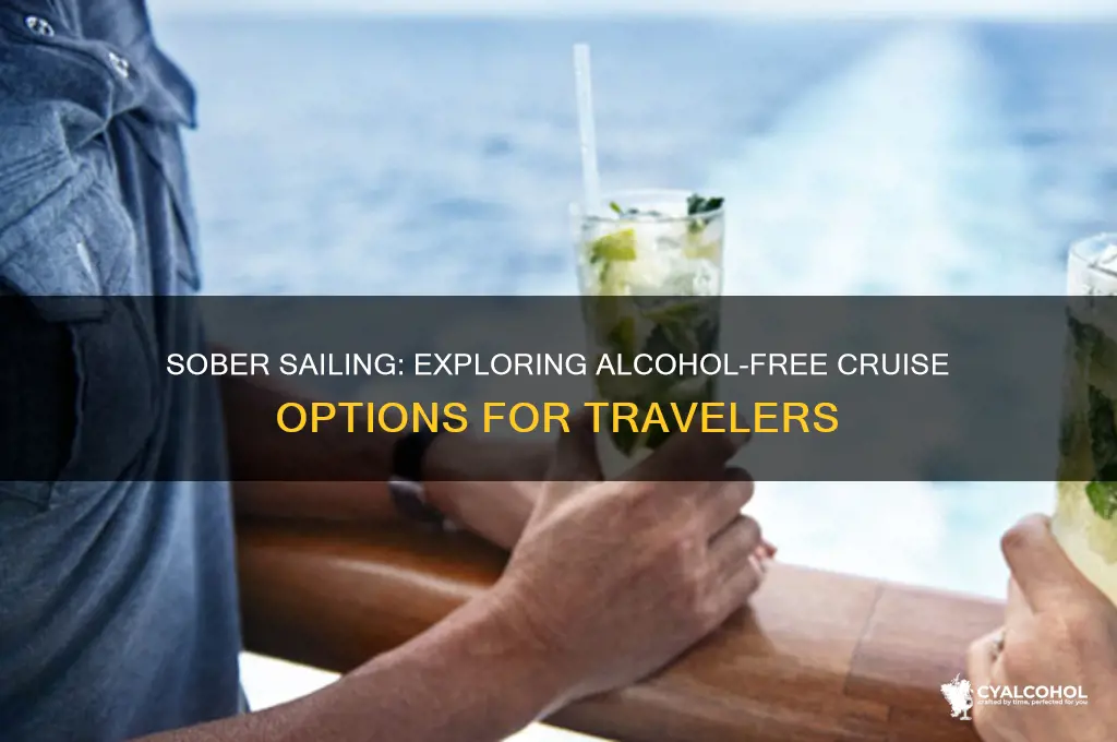 are there any alcohol free cruises
