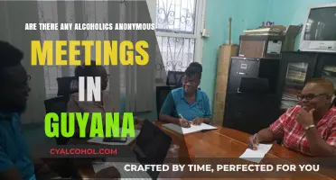Finding AA Meetings in Guyana: Support and Recovery Options Available