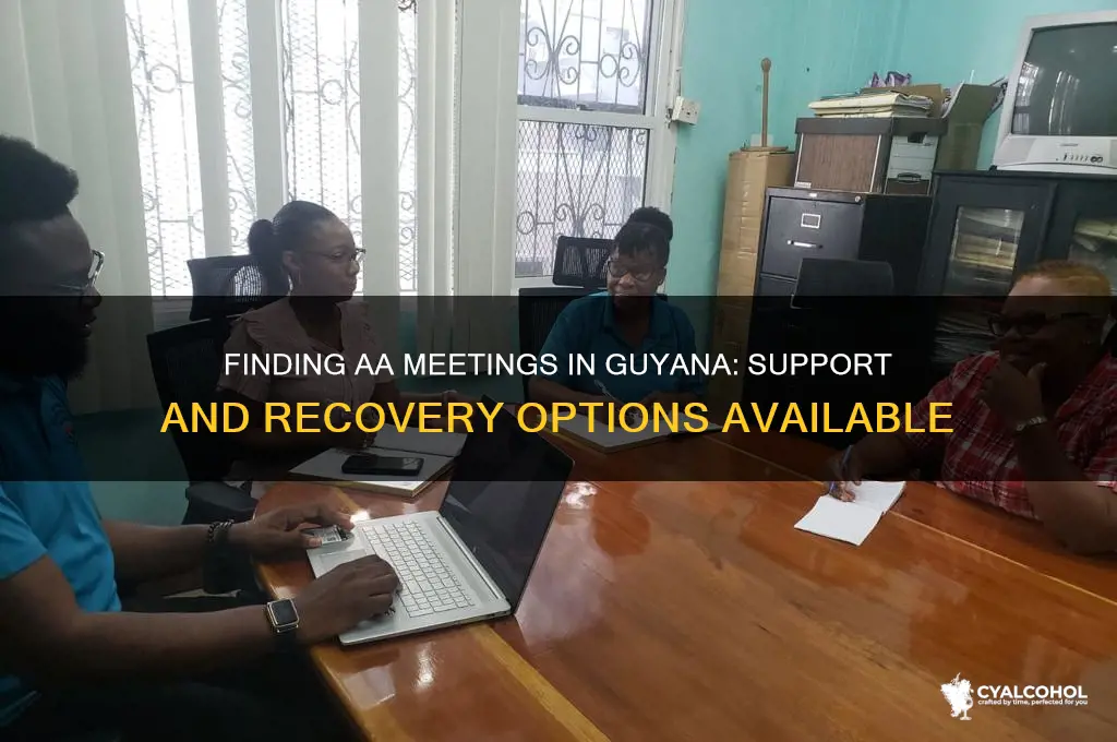 are there any alcoholics anonymous meetings in guyana