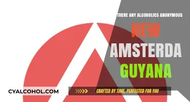 Alcoholics Anonymous in New Amsterdam, Guyana: Availability and Support