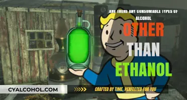 Other Consumable Alcohol Types Beyond Ethanol