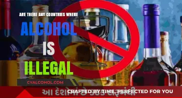 Global Dry Zones: Countries Where Alcohol is Banned or Restricted