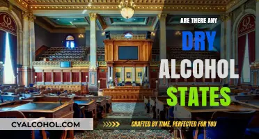 Exploring Dry Alcohol States: Where Booze-Free Zones Still Exist