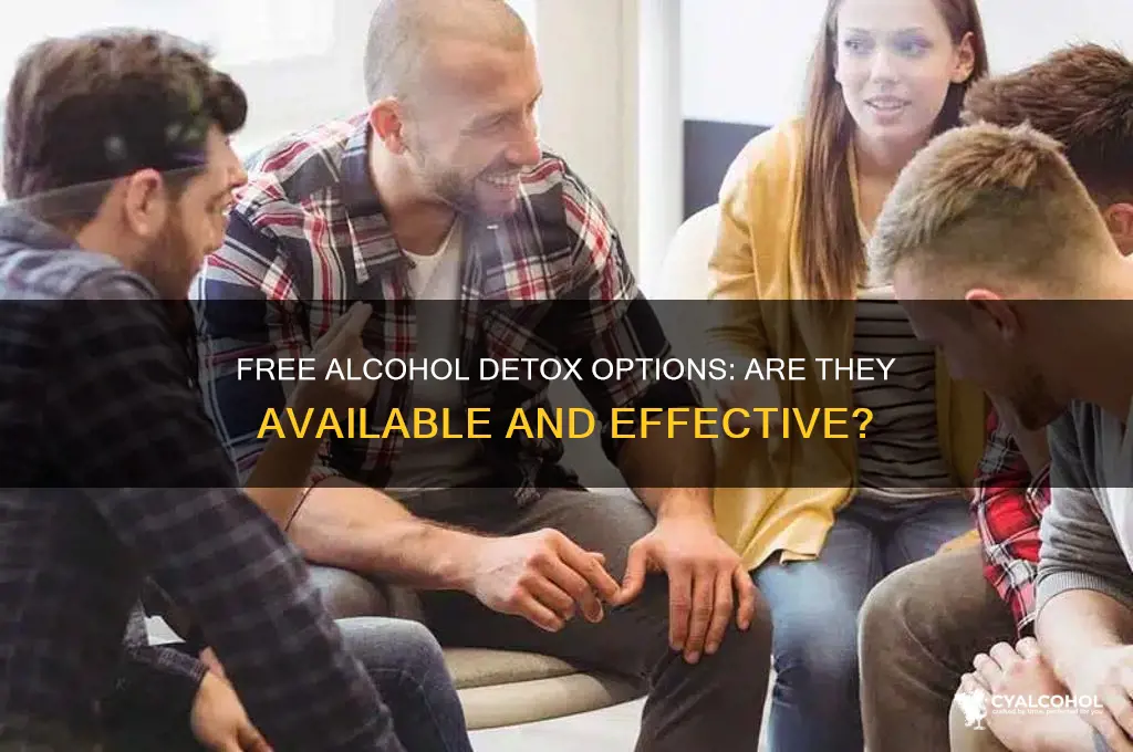 are there any free alcohol detoxs