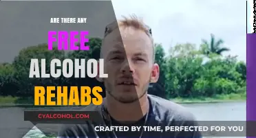 Free Alcohol Rehab Options: Are There Any Available?