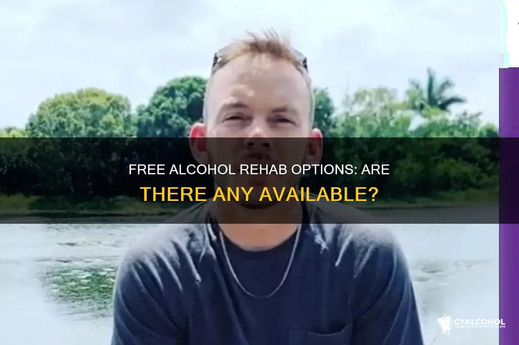 are there any free alcohol rehabs