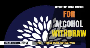 Herbal Remedies for Alcohol Withdrawal: Natural Support for Recovery