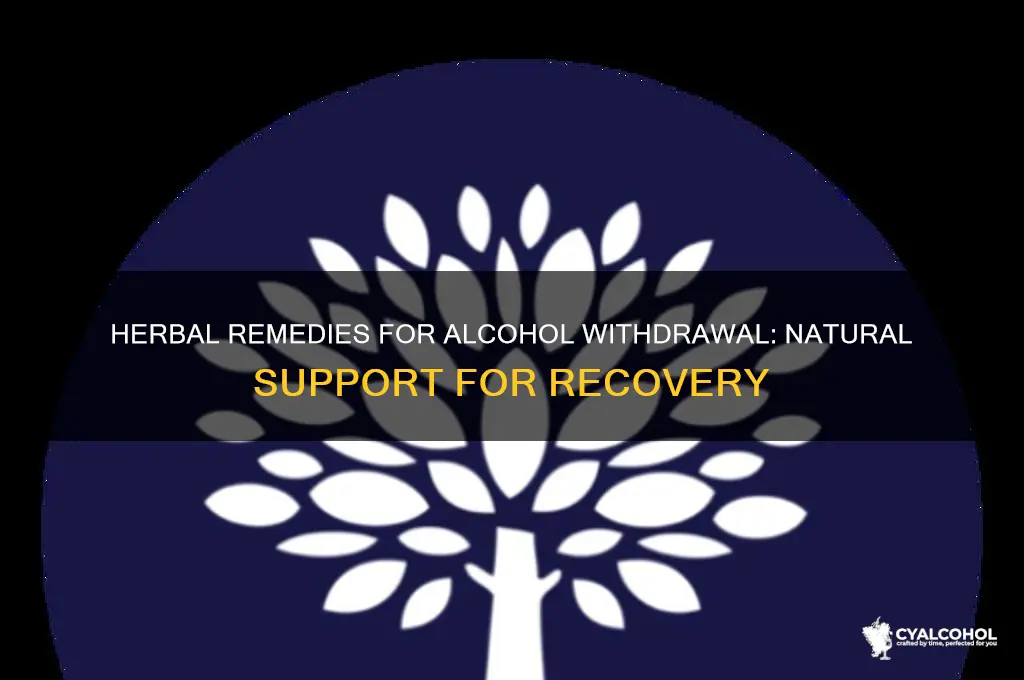 are there any herbal remedies for alcohol withdraw