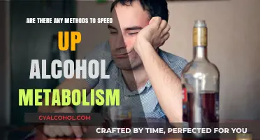 How to Boost Alcohol Metabolism: Strategies and Techniques