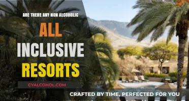 Non-Alcoholic All-Inclusive Resorts: Sober Vacation Options for Relaxation