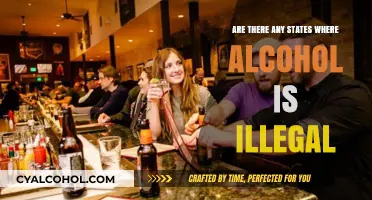 Is Alcohol Illegal in Any U.S. States? Surprising Facts Revealed