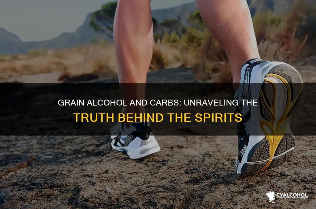 are there carbs in grain alcohol