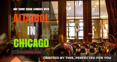 Chicago's Cigar Lounges: Where to Enjoy Cigars and Alcohol