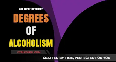 Understanding Alcoholism: Exploring the Spectrum of Severity and Degrees