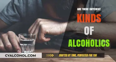 Exploring the Varied Faces of Alcoholism: Are All Alcoholics Alike?