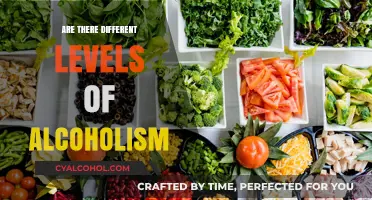 Understanding Alcoholism: Exploring the Varied Levels of Dependency