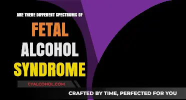 Exploring the Diverse Spectrums of Fetal Alcohol Syndrome