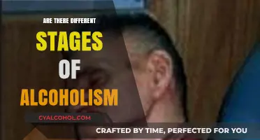 Understanding Alcoholism: Exploring the Progressive Stages of Addiction
