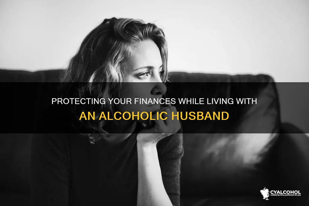are there financial protections when living with a alcoholic husband