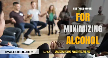 Finding Support: Groups for Minimizing Alcohol Consumption and Recovery