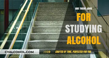 Exploring Careers in Alcohol Studies: Opportunities and Pathways