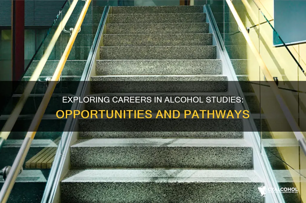 are there jobs for studying alcohol