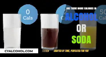 Alcohol vs. Soda: Which Packs More Caloric Punch in Your Drink?