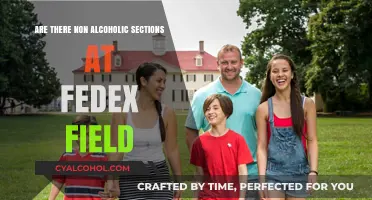 Exploring FedEx Field: Non-Alcoholic Sections and Family-Friendly Options