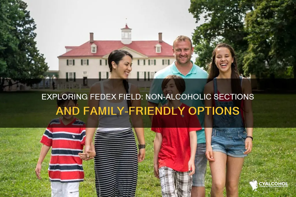 are there non alcoholic sections at fedex field