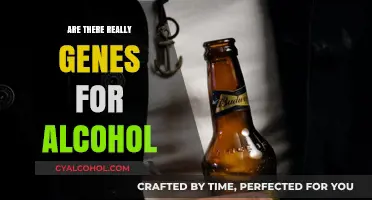 Genes and Alcohol: Unraveling the Truth Behind Genetic Predisposition