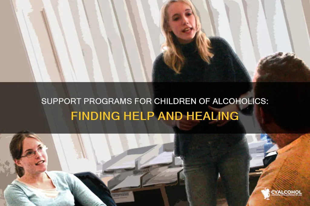 are there support programs for children of alcoholics