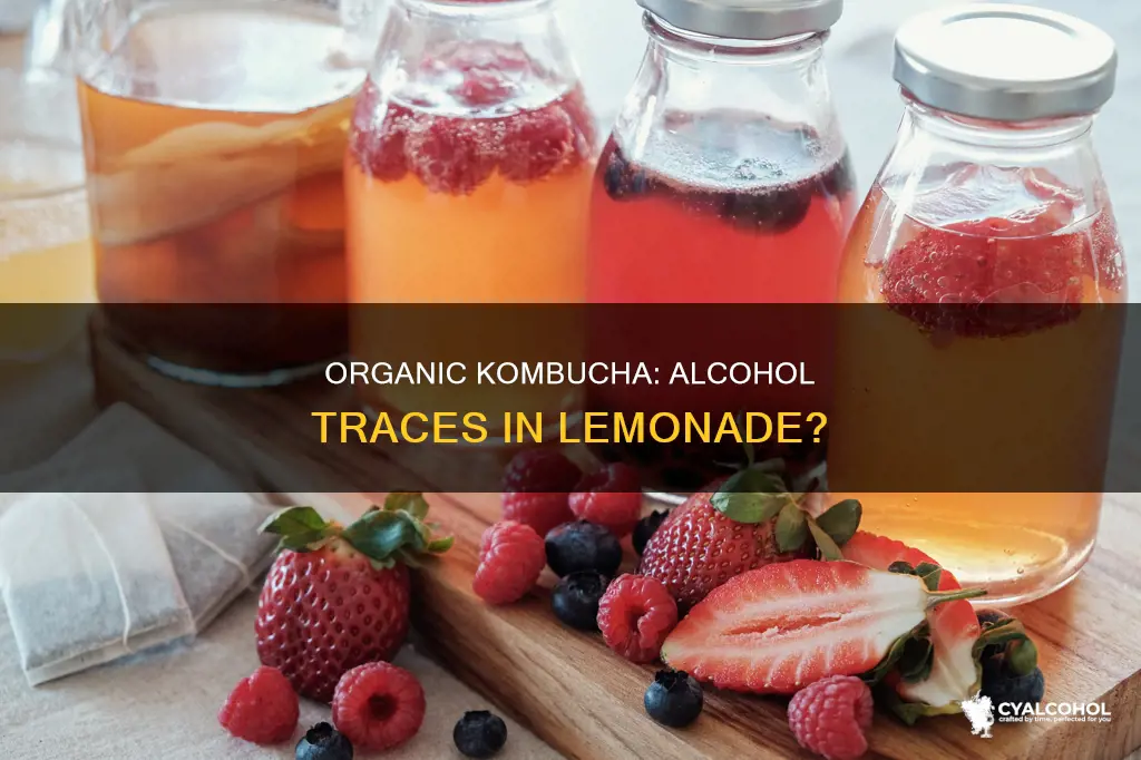 are there traces of alcohol in organic lemonade kombucha