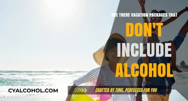 Vacation Packages: Sober Options for Travelers