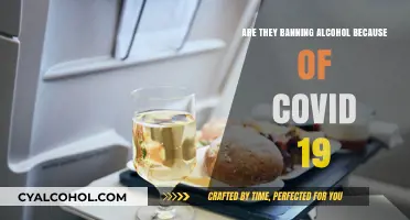 COVID-19 and Alcohol: Are Bans on the Horizon?