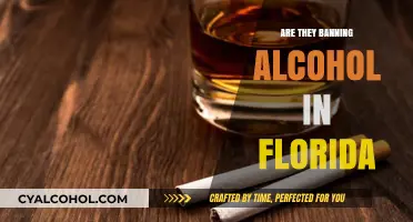 Is Florida Considering an Alcohol Ban? What You Need to Know