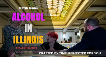 Is Illinois Considering an Alcohol Ban? What You Need to Know