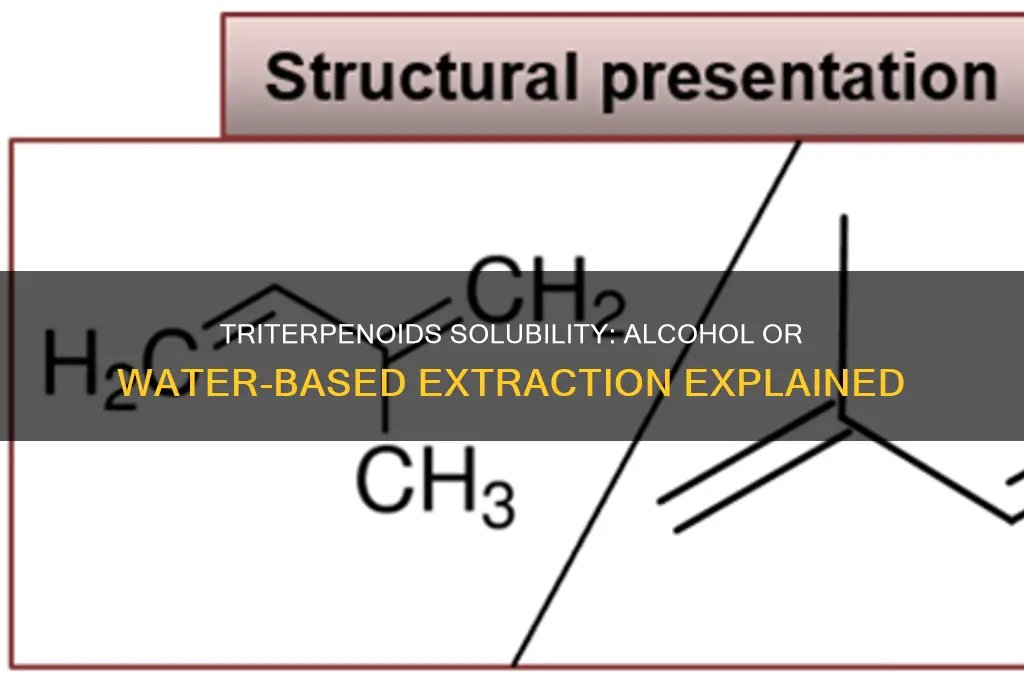 are triterpenoids alcohol or water soluble