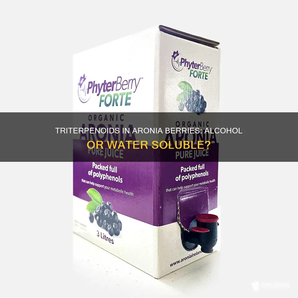 are triterpenoids in aronia berries alcohol or water soluble