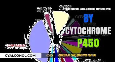 Tylenol and Alcohol: Cytochrome P450 Metabolism Explained