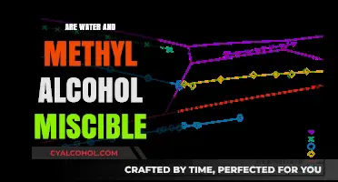 Water and Methyl Alcohol: Exploring Their Miscibility and Chemical Interaction