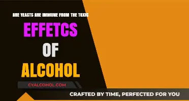 How Do Yeasts Survive Alcohol's Toxic Effects?