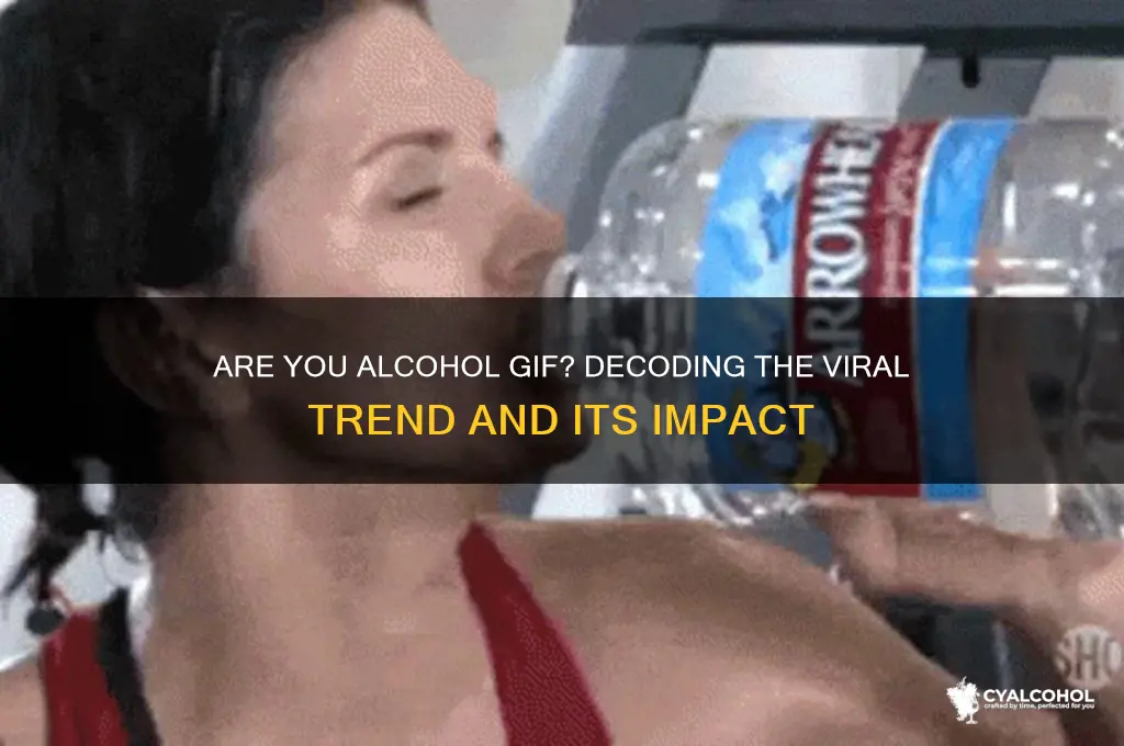 are you alcohol gif