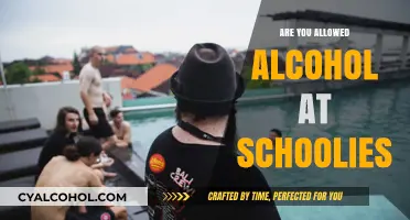 Schoolies and Alcohol: Understanding the Rules and Staying Safe