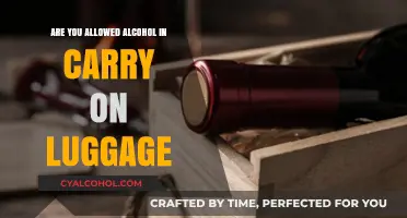 Can You Bring Alcohol in Carry-On Luggage? TSA Rules Explained