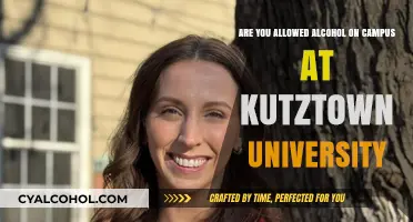 Alcohol Policies at Kutztown University: What You Need to Know