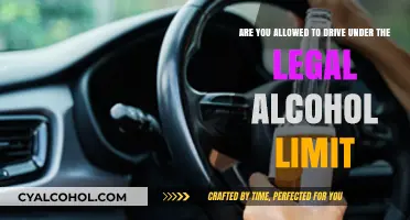 Driving After Drinking: Is it Safe?