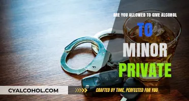 Alcohol to Minors: Private Settings, Public Issue