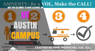 Alcohol Policies at UT Austin: What Students Need to Know
