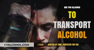 Transporting Alcohol: Legal Guidelines and Restrictions You Need to Know